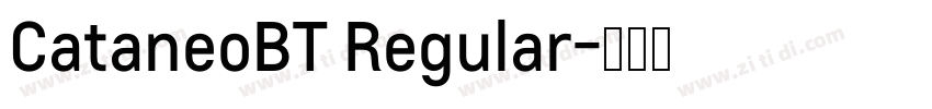 CataneoBT Regular字体转换